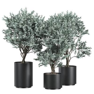 现代绿植盆栽-16